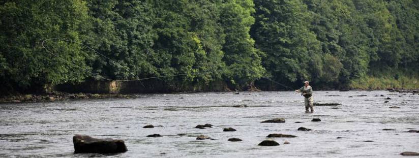 salmon_fishing_slider_05