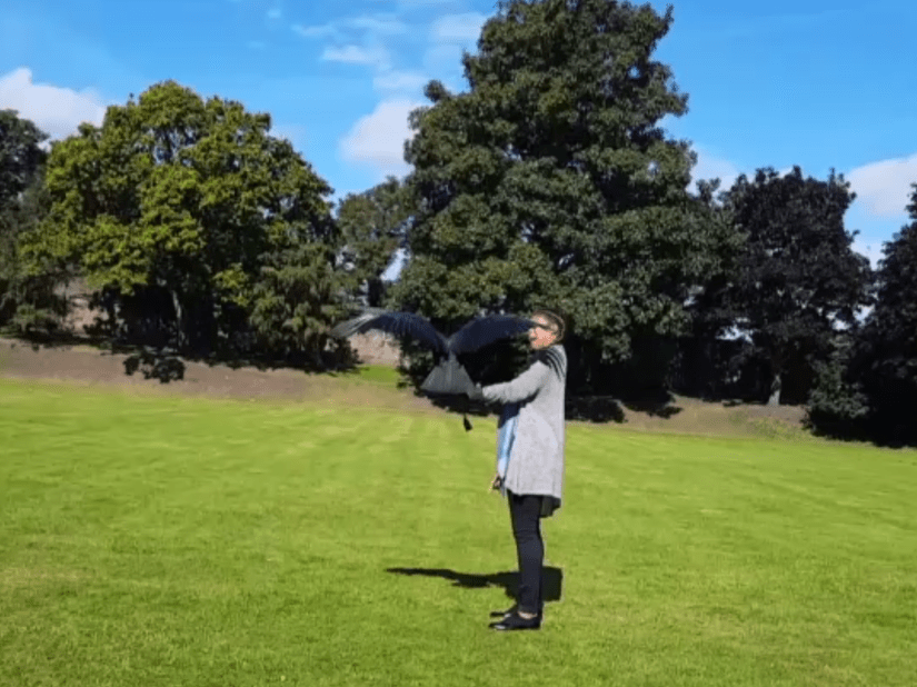 Vulture and abigail irozuru at Chester Cathedral Falconry